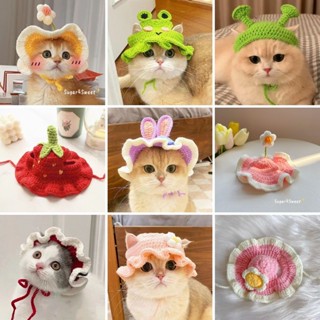 Chapéu De Cachorro Fofo De Tricotar Engraçado Vestido De Gato em Oferta na Shopee