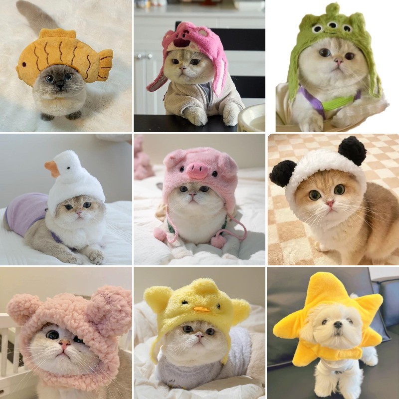 Chapéu De Cachorro Fofo De Halloween Vestido De Gato