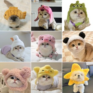 Chapéu De Cachorro Fofo De Halloween Vestido De Gato em Oferta na Shopee