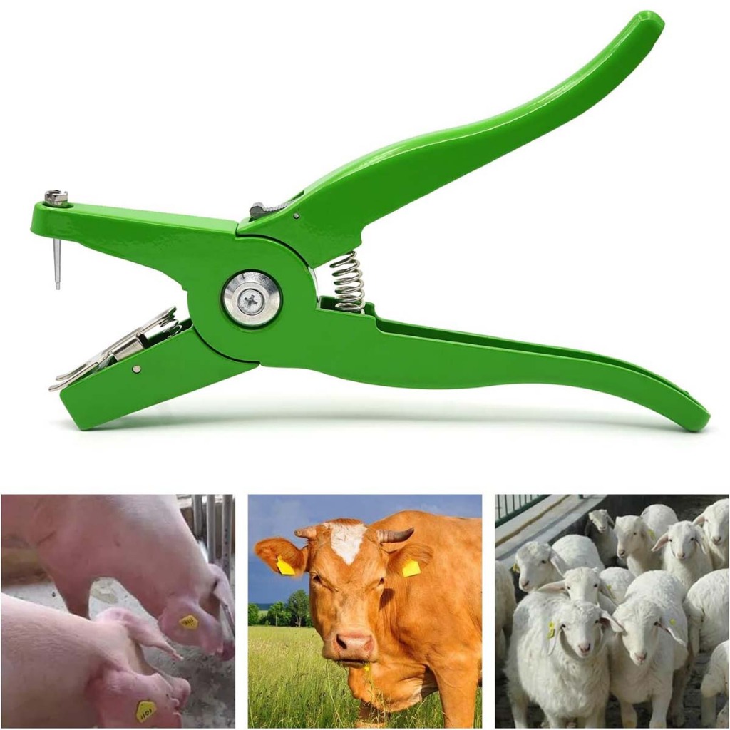 Brinco de Boi: Guia Completo e Onde Comprar | BuscaProdutos