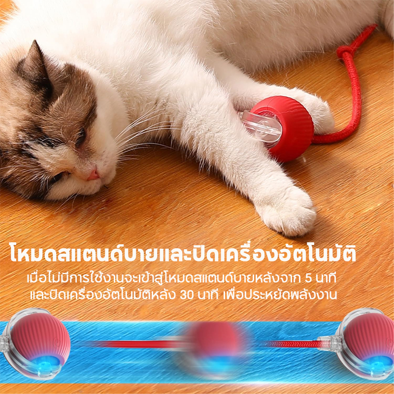 ของเล่นแมว ลูกบอลสัตว์เลี้ยง ของเล่นแมวอัจฉริยะ 6 ตัวเลือก หมุนได้ 360 องศา เรืองแสง USB ชาร์จ - ภาพที่ 3
