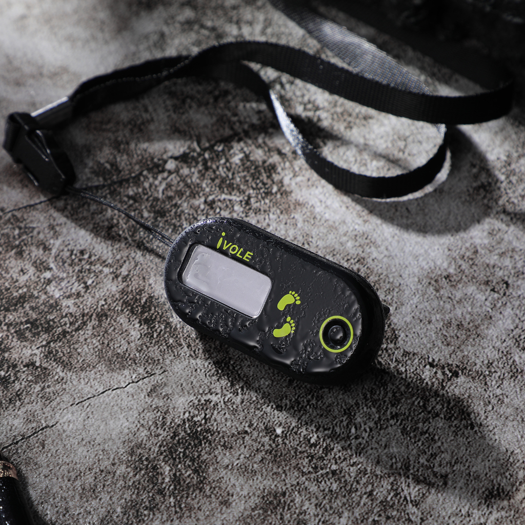 Contador De Passos Portátil Pedômetro Digital Acessórios De Corrida Esportiva 3d Electronic Child erkenai