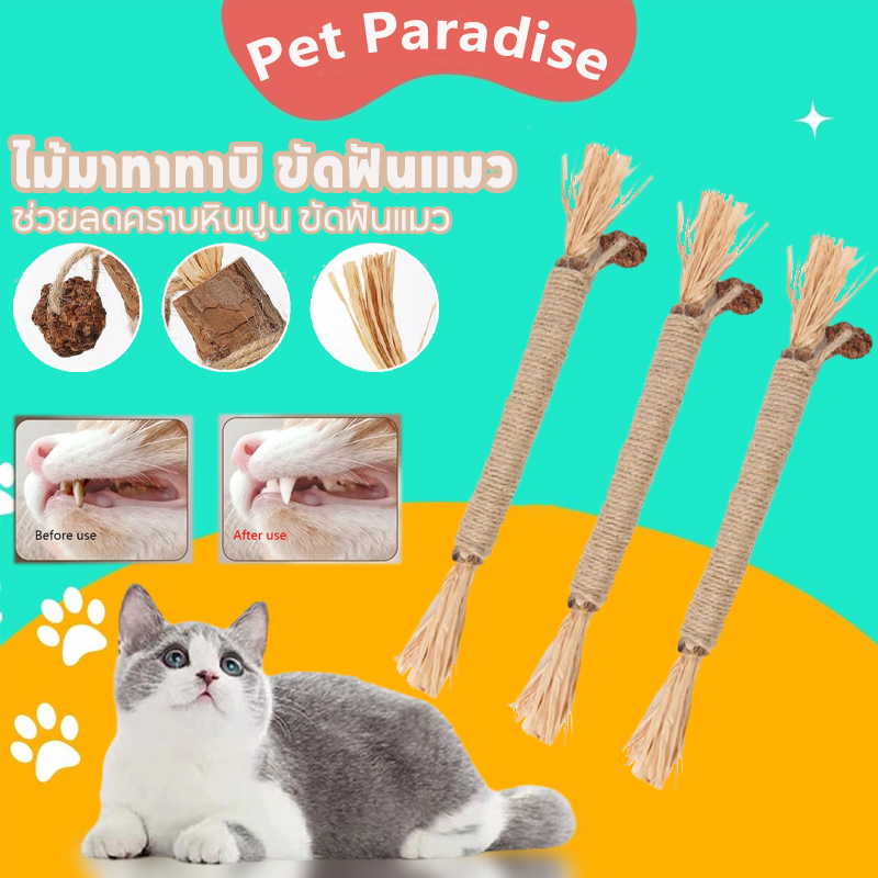 ไม้มาทาทาบิ ขัดฟันแมว 38/22cm ลดคราบหินปูน ขัดฟันแมว  กัญชาแมวมาทาบิ ของเล่นแมว พร้อมส่งจากไทย - ภาพที่ 3