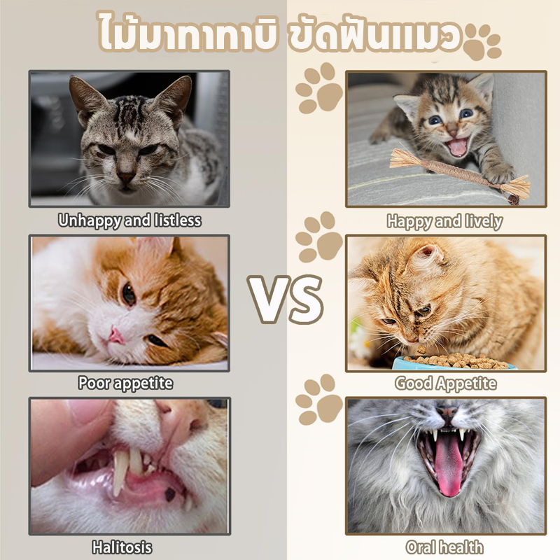 ไม้มาทาทาบิ ขัดฟันแมว 38/22cm ลดคราบหินปูน ขัดฟันแมว  กัญชาแมวมาทาบิ ของเล่นแมว พร้อมส่งจากไทย - ภาพที่ 6