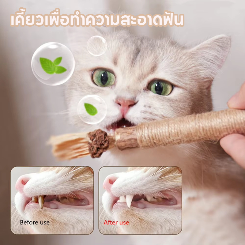 ไม้มาทาทาบิ ขัดฟันแมว 38/22cm ลดคราบหินปูน ขัดฟันแมว  กัญชาแมวมาทาบิ ของเล่นแมว พร้อมส่งจากไทย
