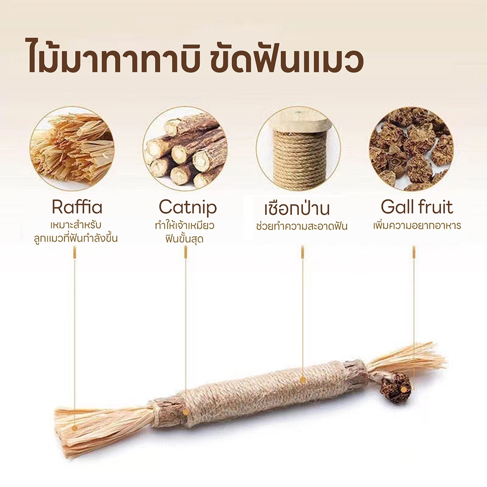 38cm😽อันใหญ่มาก ไม้มาทาทาบิ ขัดฟันไม้ ไม้ขัดฟันแมว ของเล่นแมว ลดคราบหินปูน - ภาพที่ 4