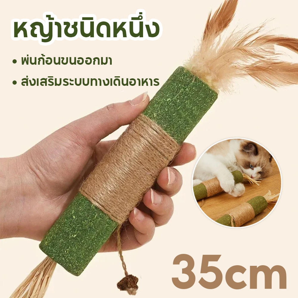 38cm😽อันใหญ่มาก ไม้มาทาทาบิ ขัดฟันไม้ ไม้ขัดฟันแมว ของเล่นแมว ลดคราบหินปูน - ภาพที่ 6