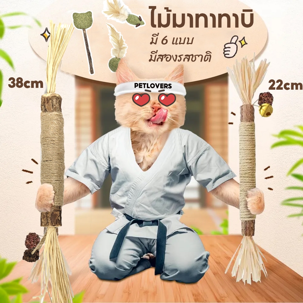 38cm😽อันใหญ่มาก ไม้มาทาทาบิ ขัดฟันไม้ ไม้ขัดฟันแมว ของเล่นแมว ลดคราบหินปูน - ภาพที่ 3