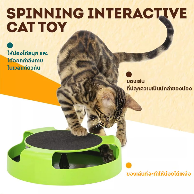 ของเล่นจานเสียงแมว รางบอลแมว ของเล่นแมว Catch the Mouse Motion Cat Toy ของเล่นสัตว์เลี้ยง - ภาพที่ 5