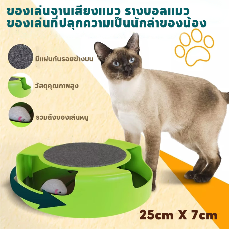 ของเล่นจานเสียงแมว รางบอลแมว ของเล่นแมว Catch the Mouse Motion Cat Toy ของเล่นสัตว์เลี้ยง - ภาพที่ 3