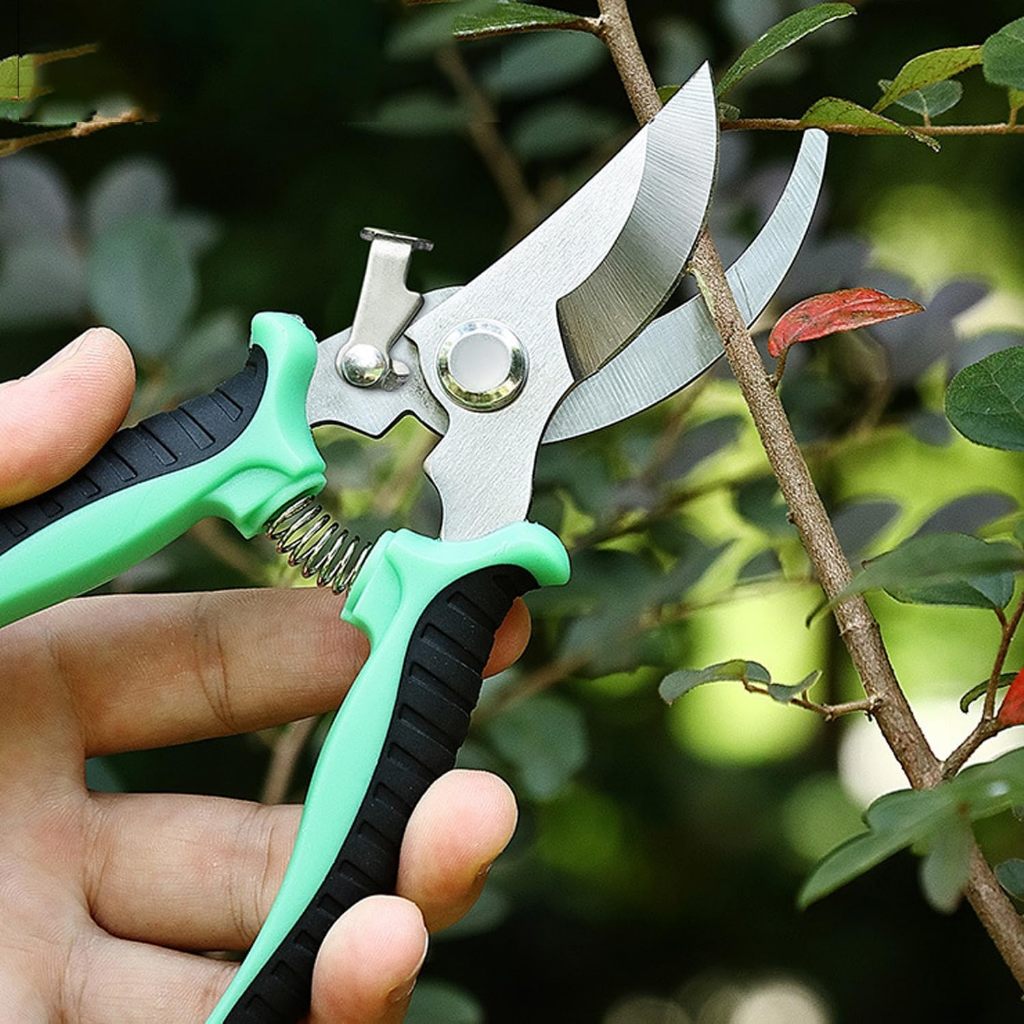 Tesouras de poda Tesouras de jardinagem Super afiadas em Oferta na Shopee