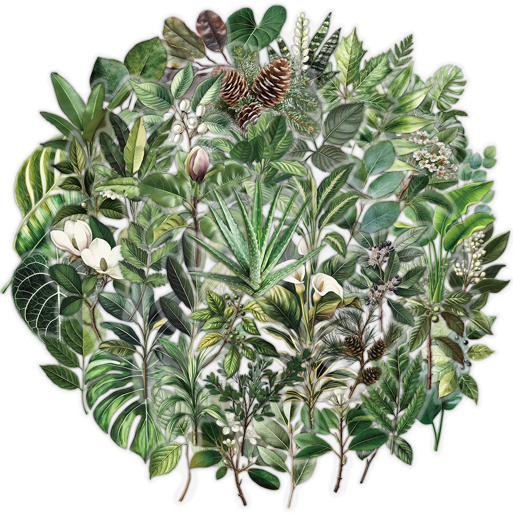 [Adesivo Grande] 50 Peças Coleção De Plantas Naturais Adesivos Decorativos Para Animais De Estimação De Folhas Verdes Sc em Oferta na Shopee