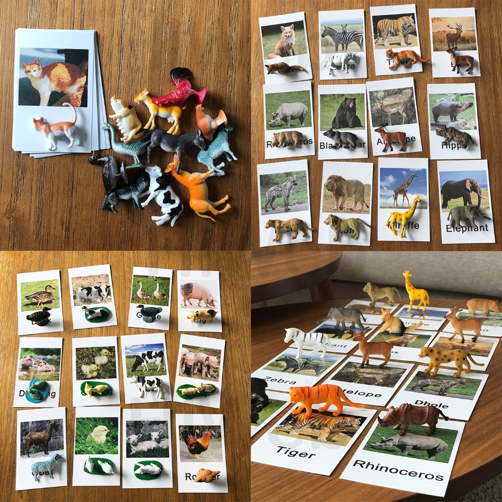 10 Tipos De Cartões De Jogo De Animais Montessori Realistas , De Aves Em Miniatura Com Correspondentes , Materiais De Li