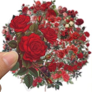 [Adesivo Grande] 50 Peças Vintage Vermelho Rosa Flores Adesivos Para Animais De Estimação DIY Laptop Bagagem Scrapbook A em Oferta na Shopee