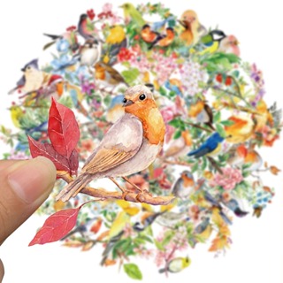 [Adesivo Grande] 50 Peças Adesivos De Pássaros Aquarela Transparentes PET DIY Para Laptop Skate Bagagem Copo Bicicleta M em Oferta na Shopee