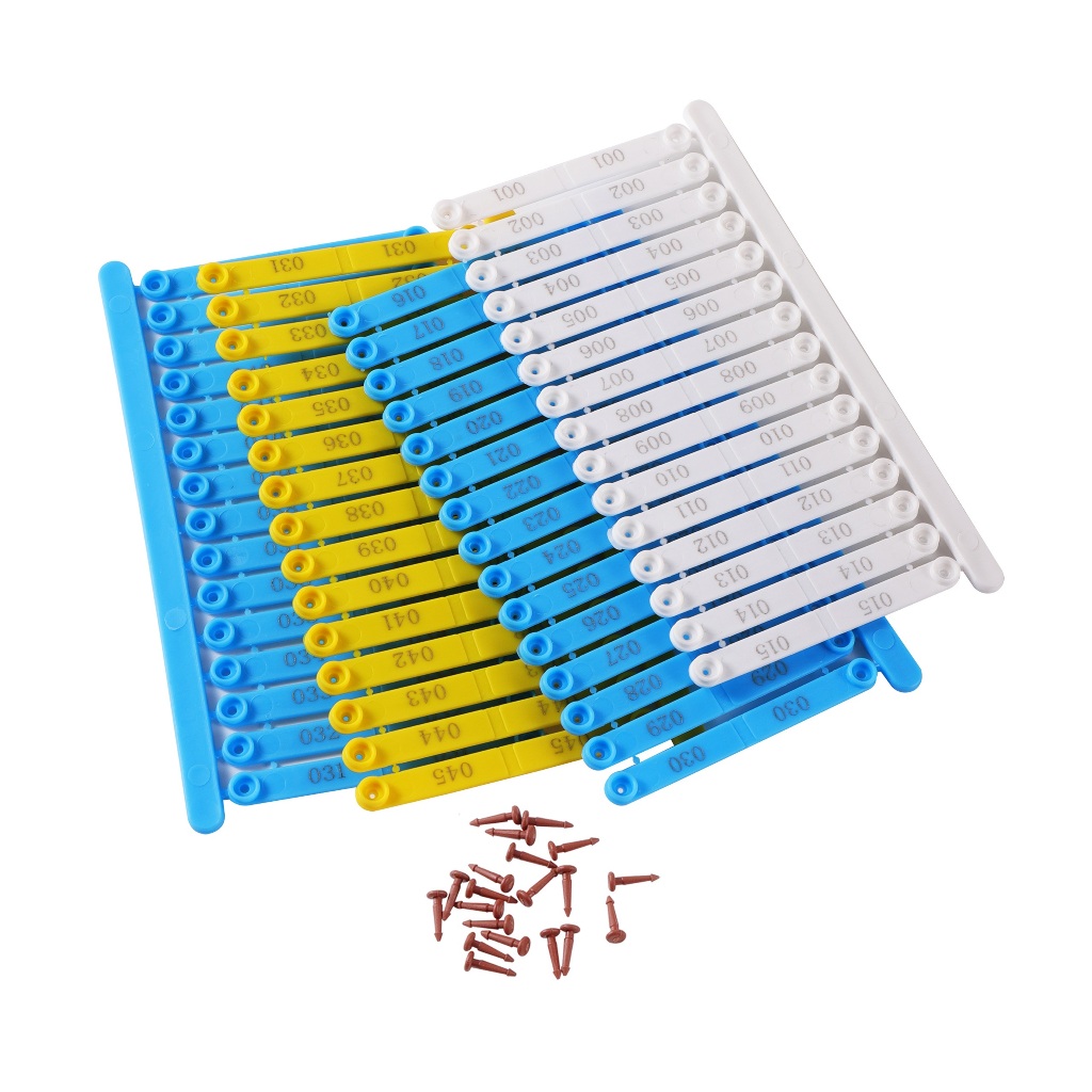 Asa de Frango: Guia Completo e Onde Comprar | BuscaProdutos