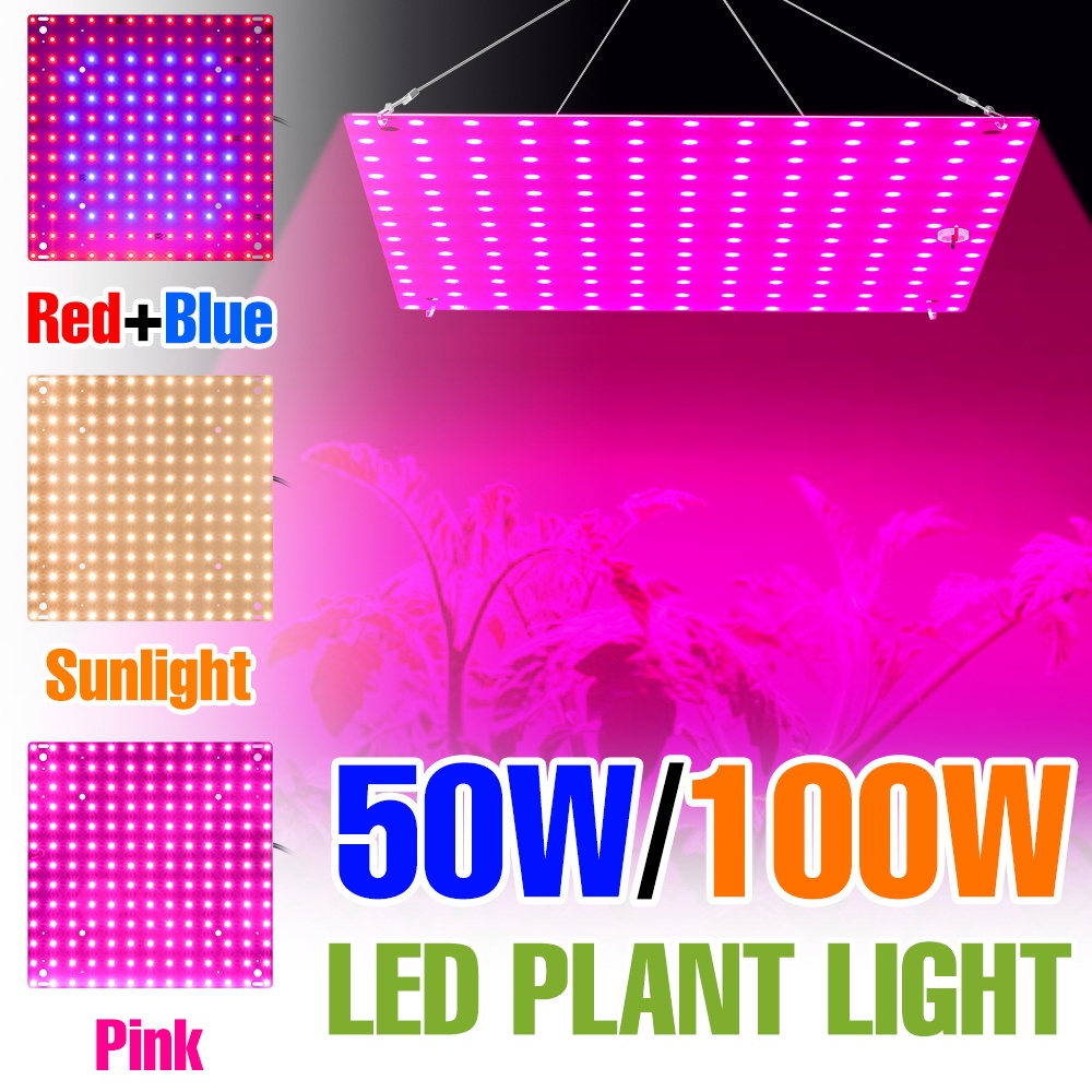 100W Full Spectrum LED Grow Light 85-265V Cultivo Interno Sistema Hidropônico Lâmpada Para Plantas 50W Caixa De Crescime