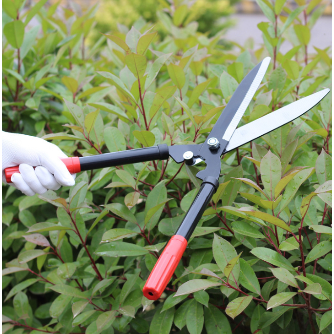 Tesoura de Poda Grama Jardim Cerca Viva Oferta Cerca-viva Tesourão Jardinagem Tesoura Grama Jardim Cerca Viva Oferta