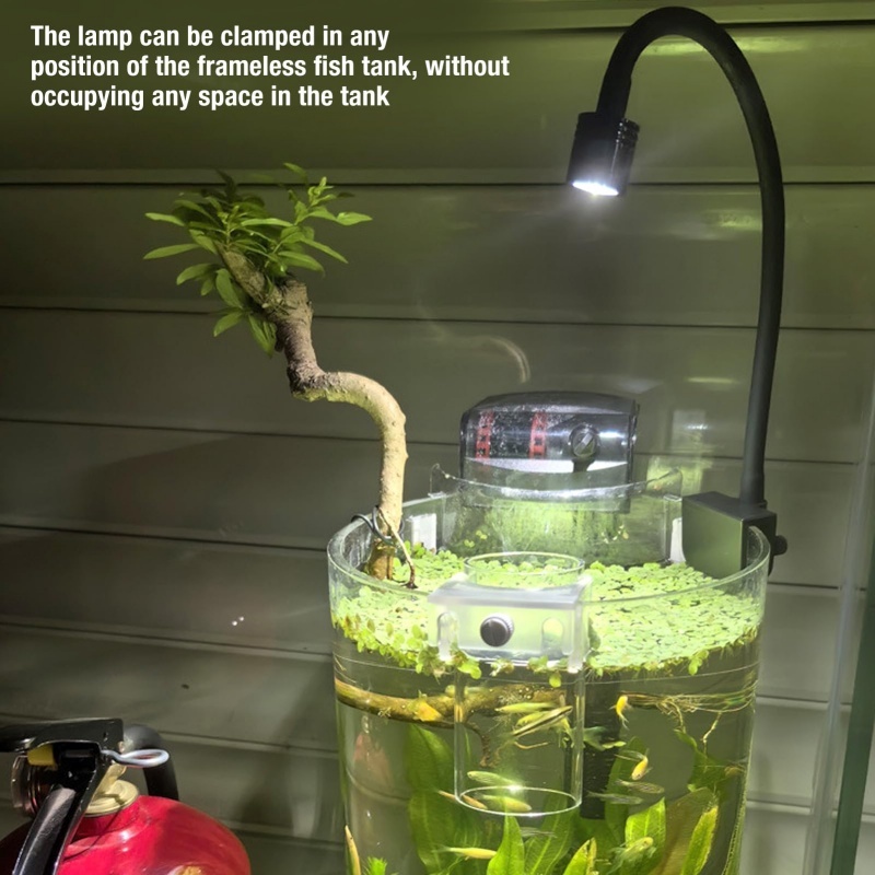 Lâmpada Aquário Tartaruga: Onde Comprar | BuscaProdutos