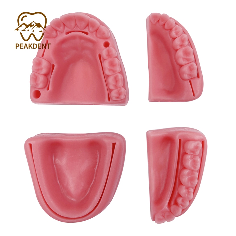 Kit De Almofada Simuladora De Treinamento De Sutura Oral Dentária 4 Unidades