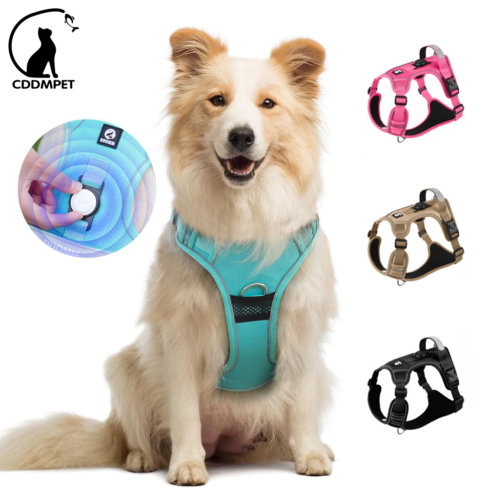 Husky com Golden: Onde Comprar | BuscaProdutos