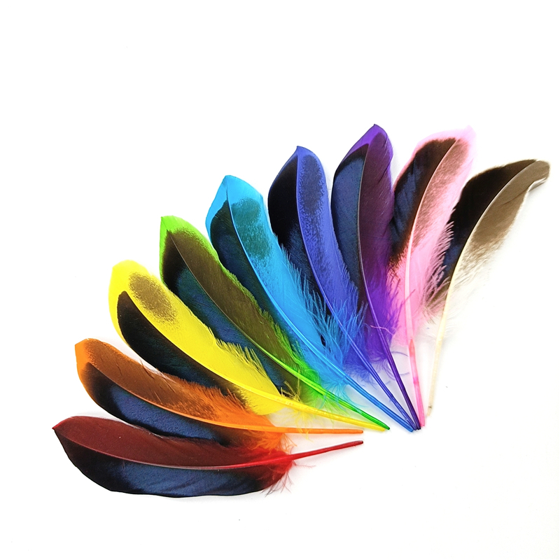 20 Pçs Penas De Pato 10-15cm Colorido Pheasan Plumas Artesanato Acessórios Decoração Para Casa Apanhador De Sonhos Lâmpa