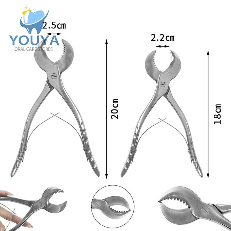 Tesoura De Gesso De Aço Inoxidável Premium Com Cabo Antiderrapante-Grande/Pequena em Oferta na Shopee