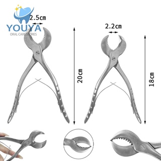 Tesoura De Gesso De Aço Inoxidável Premium Com Cabo Antiderrapante-Grande/Pequena em Oferta na Shopee