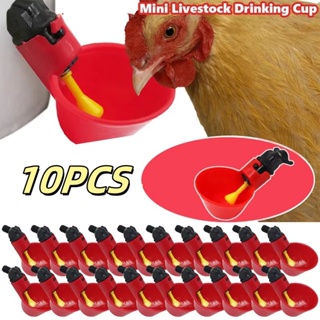 10 bebedouro automático de frango-copo de água vermelha em Oferta na Shopee