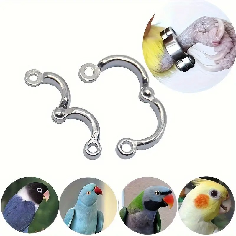 Papagaio de Coleira: Onde Comprar | BuscaProdutos