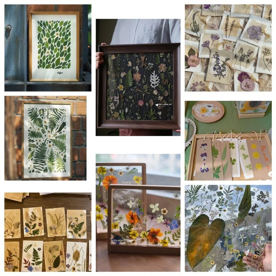 21 Unidades/Saco Folhas Prensadas Mistas Da Natureza (Planta Verde Real) Para Marcador/Convite/Cartão De Natal DIY — imagem 2 de 2