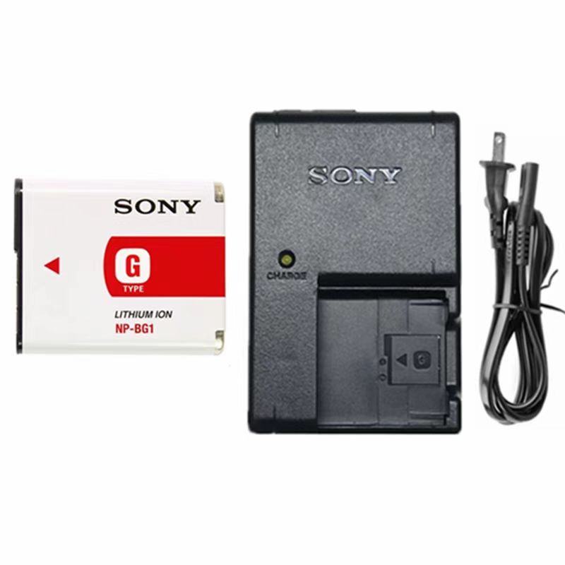 Para Sony DSC-HX30 HX10 HX30V W130 W150 W170 W200 W300 Câmera Digital Bateria NP-BG1 Carregador