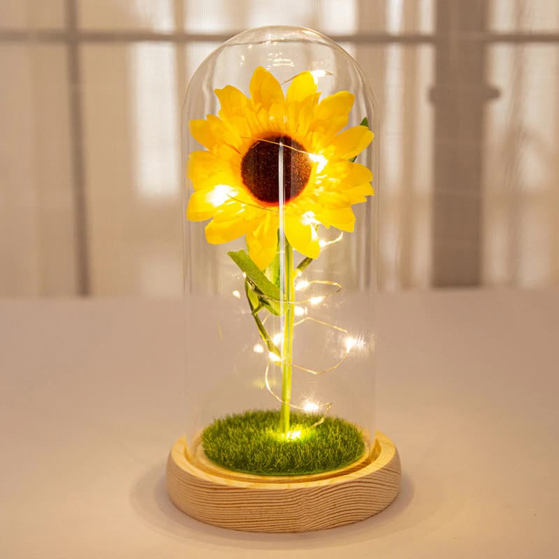 Luminária Girassol Luminária Domo Acrílico Decoração Presente Dia dos Namorados Enfeites em Oferta na Shopee