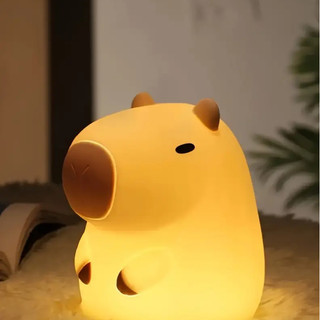 Luminária Silicone Sleep Night Light Luz Noturna LED com Pilha Botão