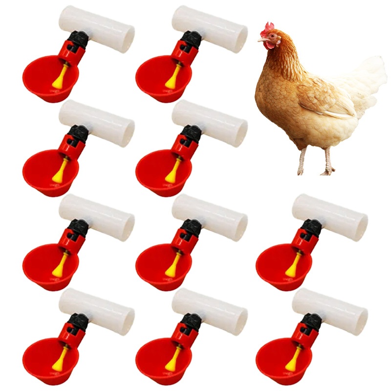 Conjunto de 10 peças copo automático bebedouro automático adequado para aves de quintal