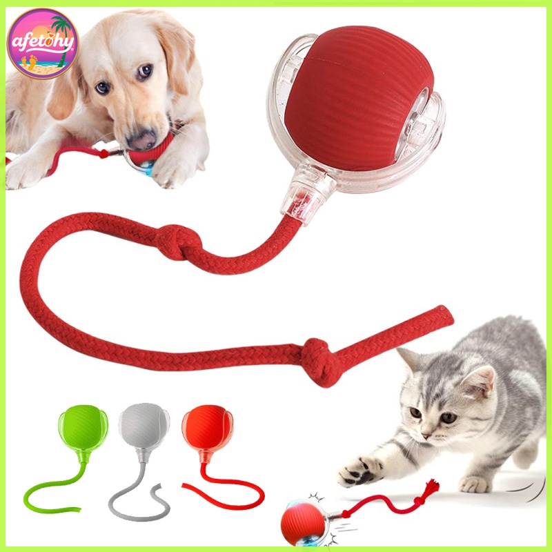 Bola engraçada para gatos, apenas bola para animais de estimação, bola de brinquedo para gatos com Sensor esportivo, bri