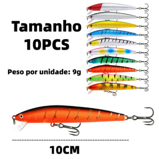 Kit 10 Iscas Artificiais Importadas Equipamento De Pesca10cm/9g Afundamento Afund