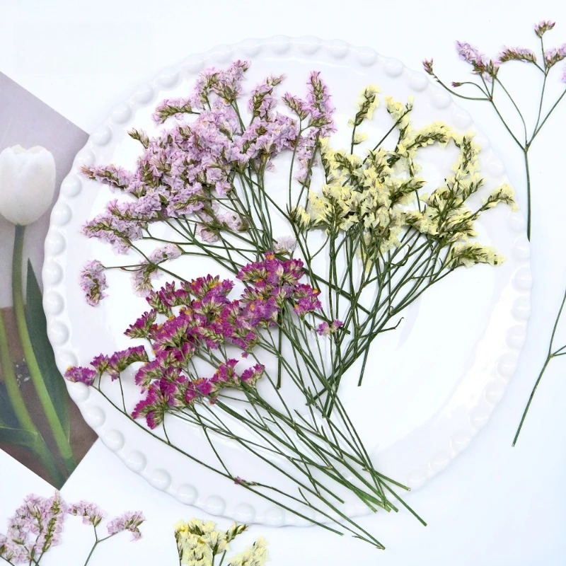 6 Pçs Flores Secas De Grama De Cristal Prensado Real Para DIY Resina Moldura De Foto Convite Envelope Decoração