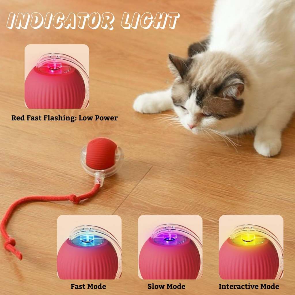 Brinquedo Inteligente para Gatos Bola Rolante Automática Vermelho e Azul em Oferta na Shopee