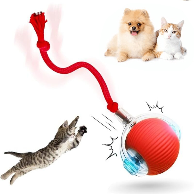 Bola Interativa Automática Para Gatos-Brinquedo De Treinamento Elétrico Com Recurso De Rolamento Inteligente