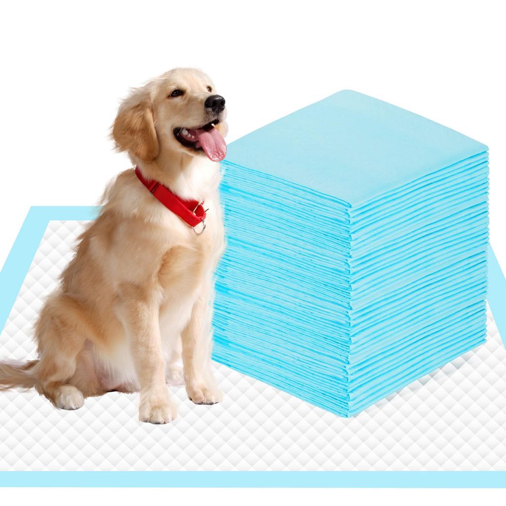 Tapete Sanitário Canino Higiênico Banheiro Educa Pet Tapete Lavável Banheiro Pet