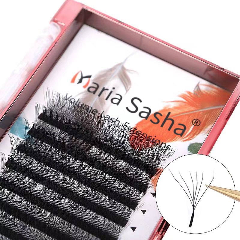 MARIA 6D W Estilo Extensões De Cílios Suprimentos Fácil Ventilador Atacado Volume Pré-Fabricado em Oferta na Shopee