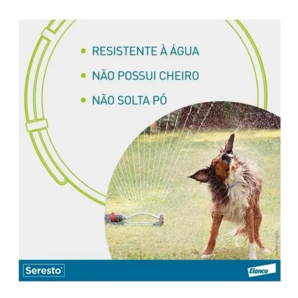 Novas Coleiras Para Gatos