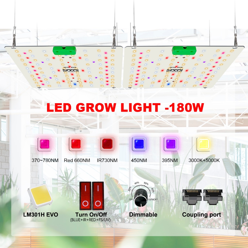 Placa Quântica LED180W 85W dimerizável  SamsungLM301H EVO Cresce Luz Veg E Bloom Espectro Completo Lâmpada