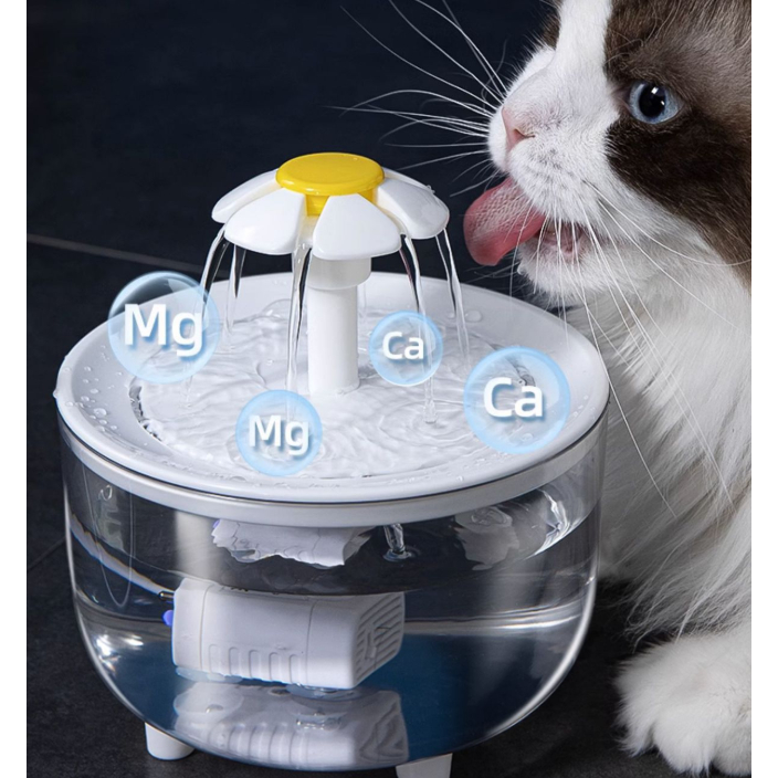 Bebedouro Automático para Gatos e Cães: Circulação de Água com Filtro em Oferta na Shopee