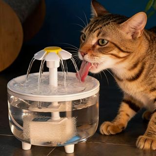 Bebedouro Automático com Circulação e Filtro Triplo/1,5L, Base Antivazamento para Gatos em Oferta na Shopee