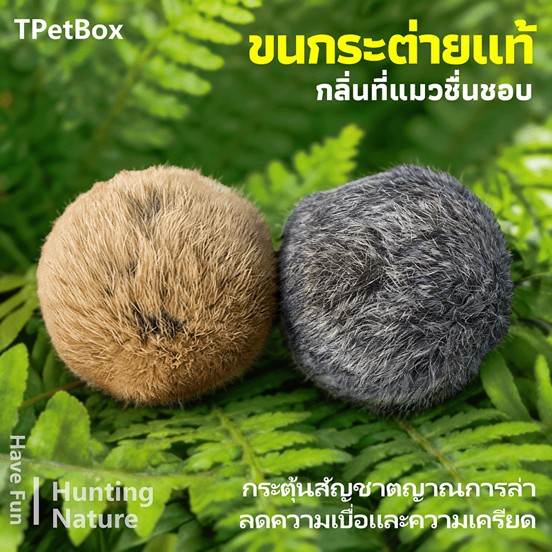 พร้อมส่ง! มาใหม่ ลูกบอลขนกระต่ายแท้ ของเล่นแมวแก้เบื่อ แมวเล่นเองได้ กระตุ้นสัญชาตญาณการล่า แมวต้องหลงรัก นุ่ม ปลอดภัย ของเล่นเสริมพัฒนาการ - ภาพที่ 3