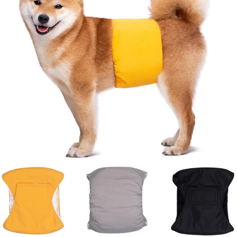 Calças Fisiológicas Para Cães De Estimação , À Prova D'água , Reutilizáveis , Fralda Cachorro , Lavável , Roupa Íntima M