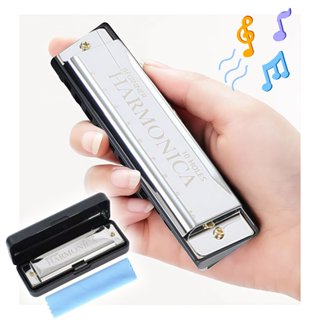 Gaita Harmônica Blues Swan Em Dó C 20 Vozes Diatônica em Oferta na Shopee