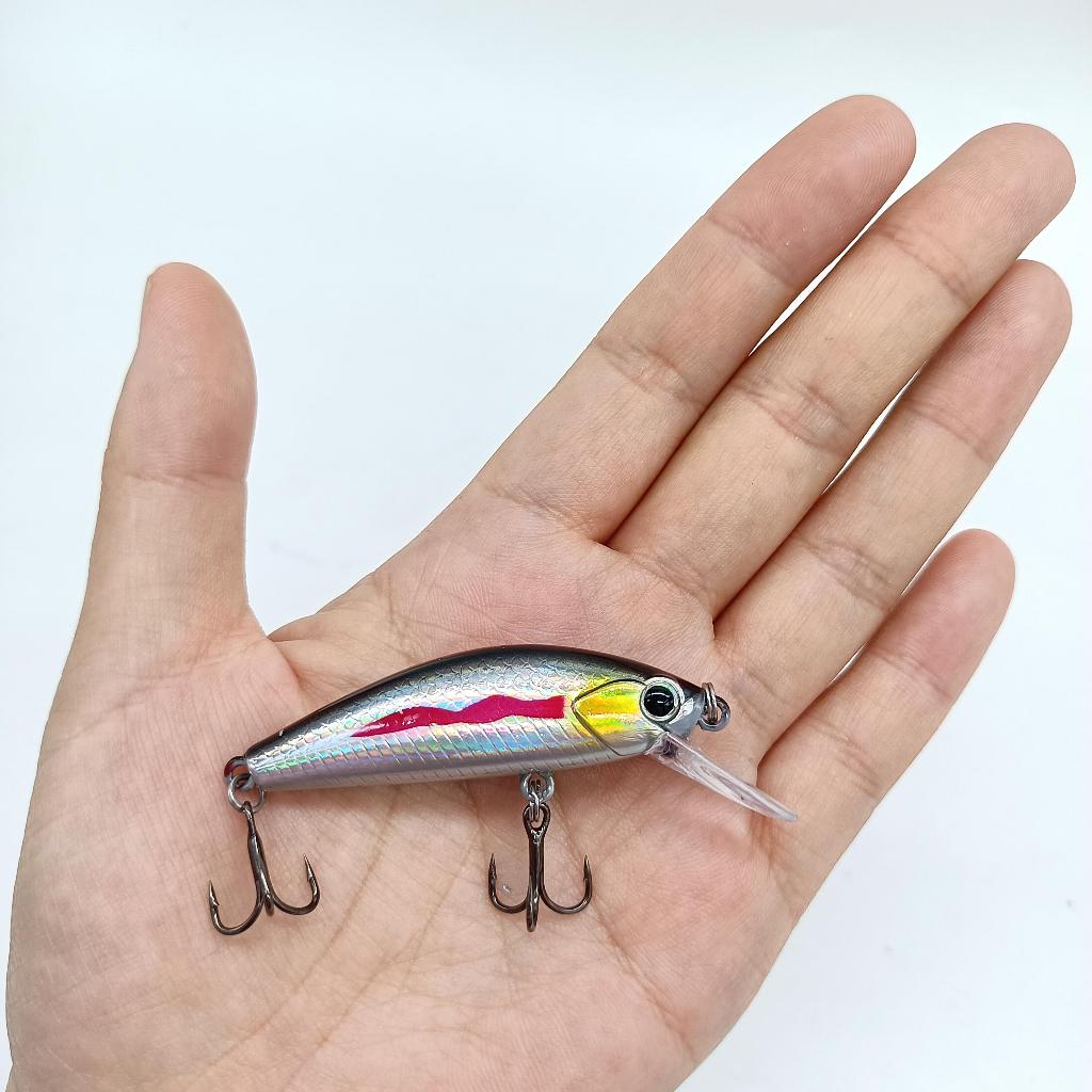 DUODUOYU 1 Pçs Afundando Minnow 11g 55mm Iscas De Pesca Em Água Salgada Crankbait Duras Wobblers Isca De Truta Artificia